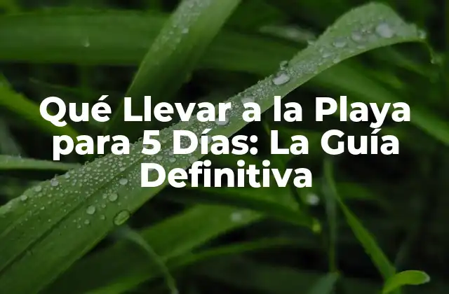 Qué Llevar a la Playa para 5 Días: la Guía Definitiva