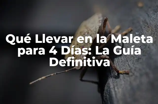 Qué Llevar en la Maleta para 4 Días: la Guía Definitiva