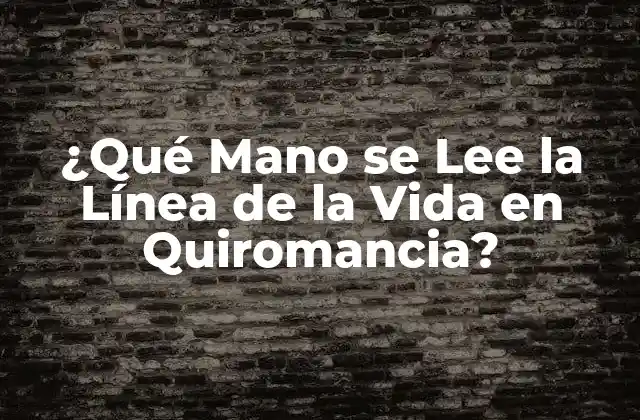 ¿qué Mano Se Lee la Línea de la Vida en Quiromancia?