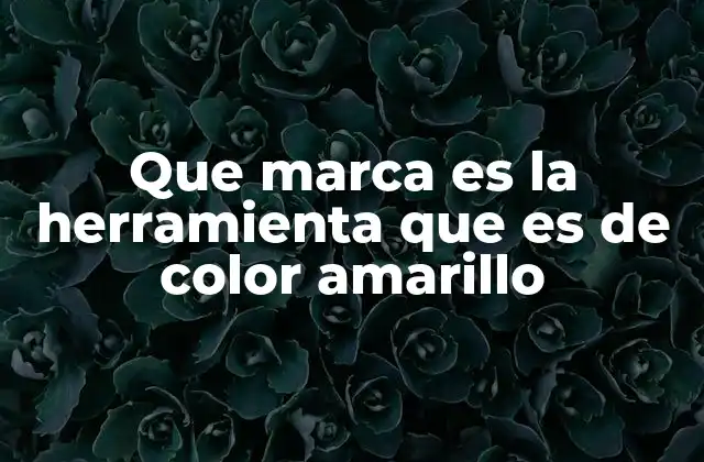 Que Marca es la Herramienta que es de Color Amarillo