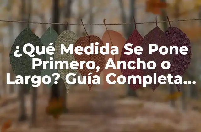 ¿qué Medida Se Pone Primero, Ancho o Largo? Guía Completa para Medir Correctamente
