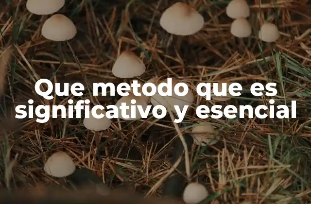 Que Metodo que es Significativo y Esencial