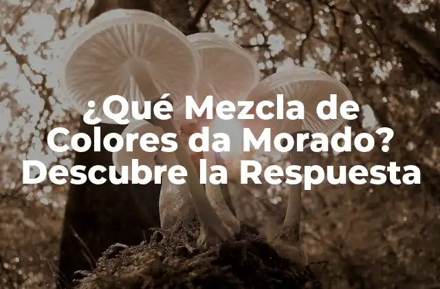 ¿qué Mezcla de Colores Da Morado? Descubre la Respuesta