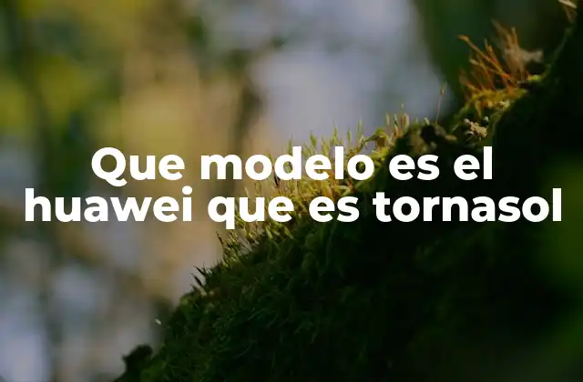 La evolución del diseño Huawei y su impacto en el mercado