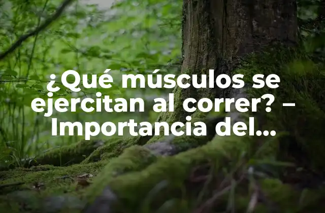 ¿qué Músculos Se Ejercitan Al Correr? – Importancia Del Entrenamiento Integral