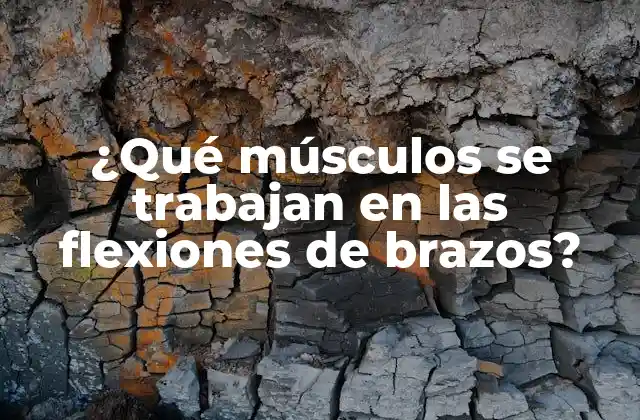 ¿qué Músculos Se Trabajan en las Flexiones de Brazos?