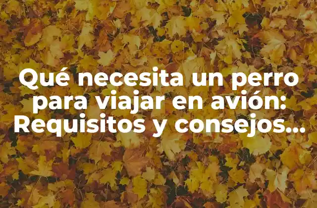 Qué Necesita un Perro para Viajar en Avión: Requisitos y Consejos para Viajar con Tu Mascota