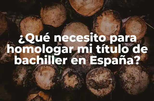 ¿qué Necesito para Homologar Mi Título de Bachiller en España?