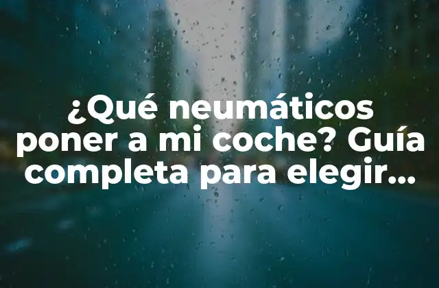 ¿qué Neumáticos Poner a Mi Coche? Guía Completa para Elegir los Neumáticos Adecuados