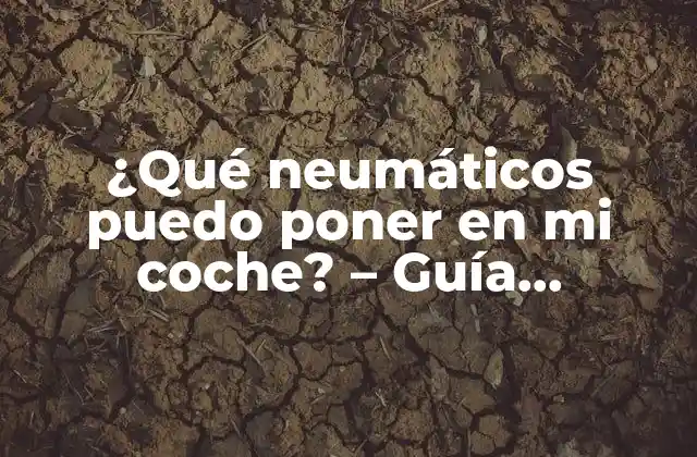¿qué Neumáticos Puedo Poner en Mi Coche? – Guía Definitiva para Elegir los Neumáticos Adecuados