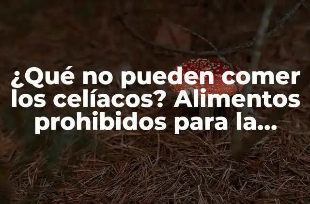 ¿qué No Pueden Comer los Celíacos? Alimentos Prohibidos para la Enfermedad Celiaca