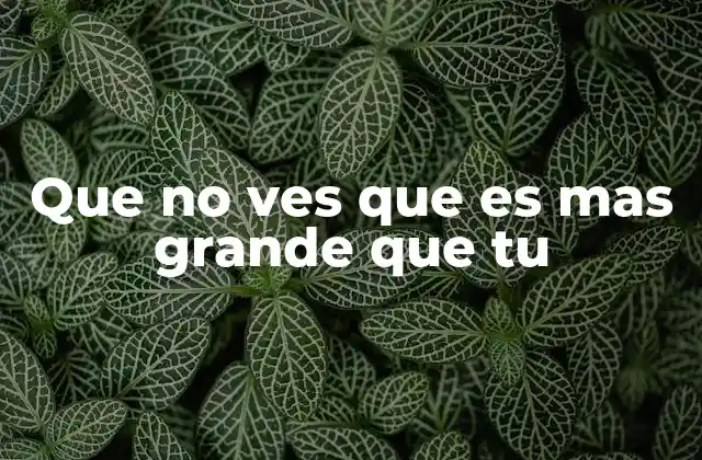 Que No Ves que es mas Grande que Tu