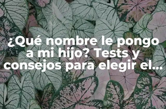¿qué Nombre Le Pongo a Mi Hijo? Tests y Consejos para Elegir el Nombre Perfecto