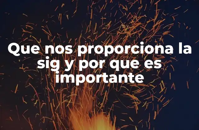 Que Nos Proporciona la Sig y por que es Importante