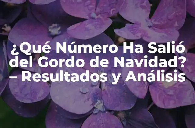¿qué Número Ha Salió Del Gordo de Navidad? – Resultados y Análisis