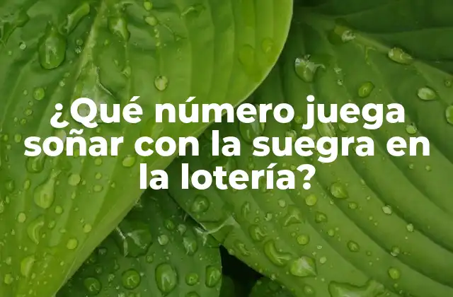 ¿qué Número Juega Soñar con la Suegra en la Lotería? 2 ¿Por qué los sueños pueden influir en nuestra suerte?