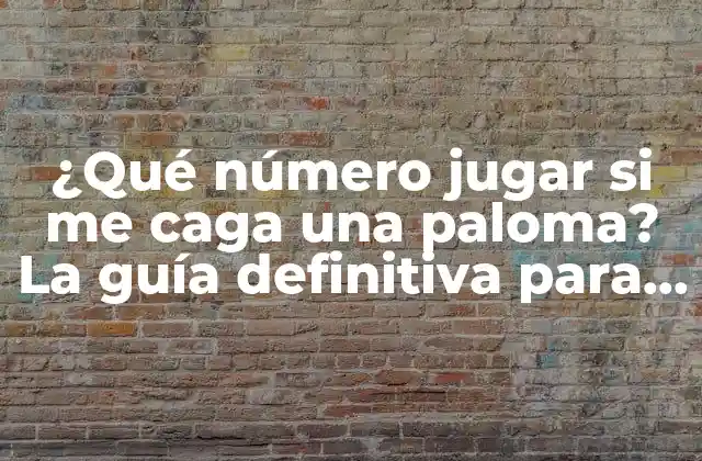 ¿qué Número Jugar Si Me Caga una Paloma? la Guía Definitiva para Ganar en la Lotería