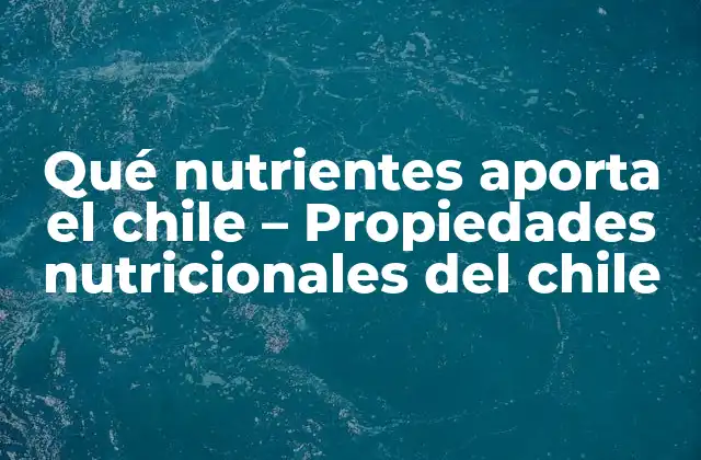 Qué Nutrientes Aporta el Chile - Propiedades Nutricionales Del Chile 2 Vitamina C - Un poderoso antioxidante