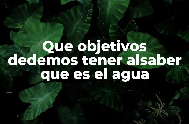 La importancia del agua en la vida moderna