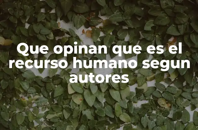Que Opinan que es el Recurso Humano Segun Autores