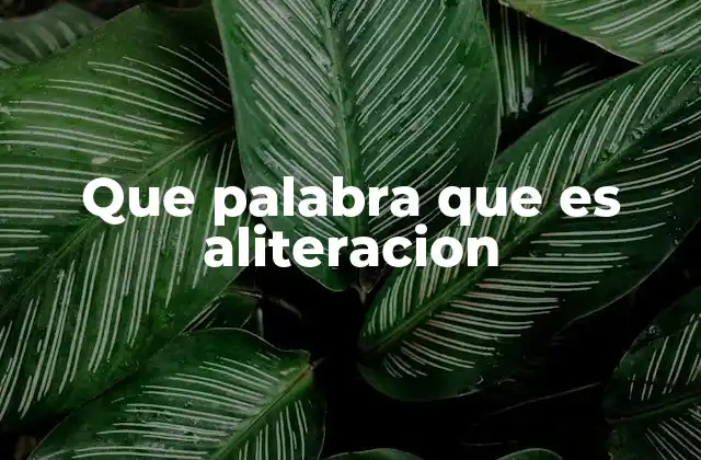 Que Palabra que es Aliteracion