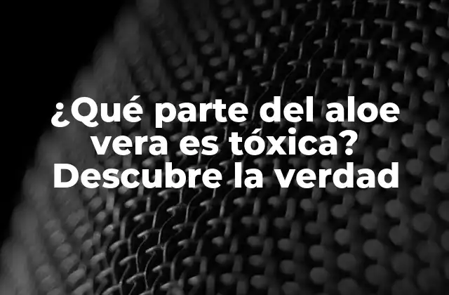 ¿qué Parte Del Aloe Vera es Tóxica? Descubre la Verdad 2 La historia detrás del aloe vera