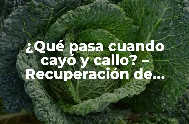 ¿qué Pasa Cuando Cayó y Callo? – Recuperación de Lesiones Deportivas