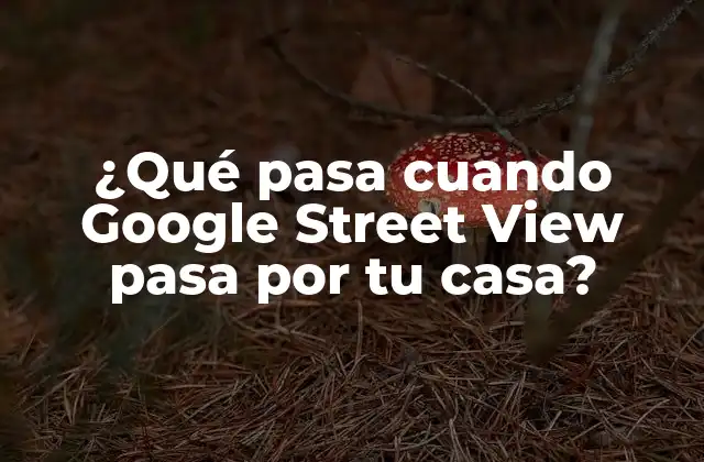 ¿qué Pasa Cuando Google Street View Pasa por Tu Casa?