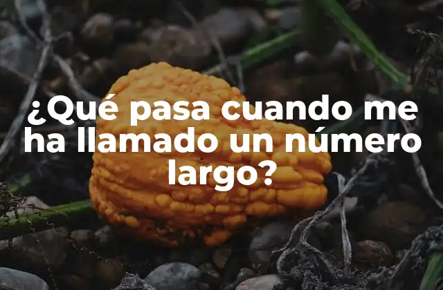 ¿qué Pasa Cuando Me Ha Llamado un Número Largo? 2 ¿Qué es un número largo?