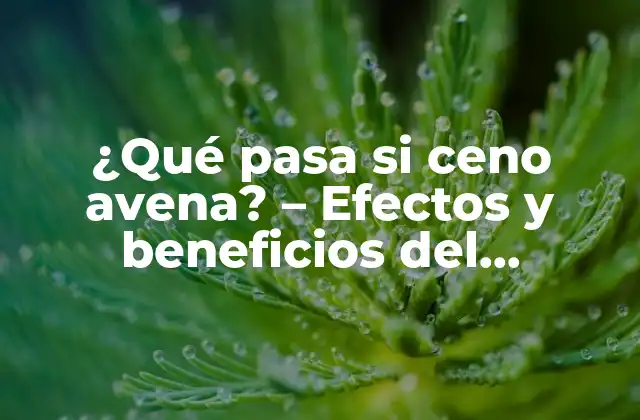 ¿qué Pasa Si Ceno Avena? - Efectos y Beneficios Del Consumo de Avena 2 La composición nutricional de la avena