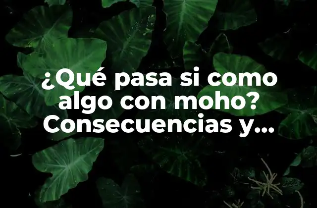 ¿qué Pasa Si como Algo con Moho? Consecuencias y Riesgos para la Salud