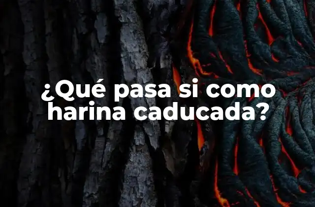 ¿Cuál es la vida útil de la harina?