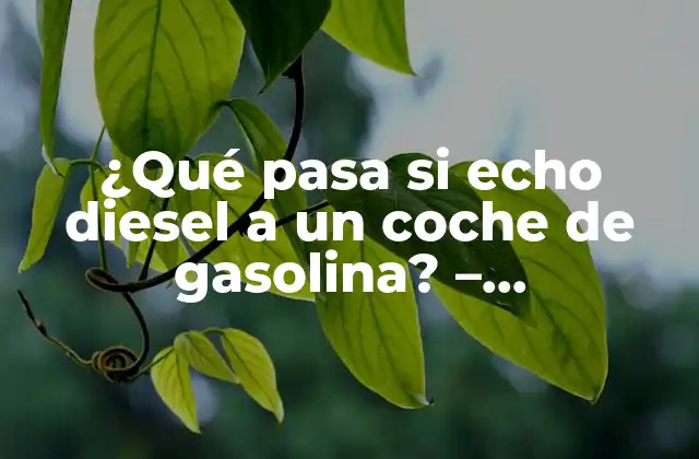 ¿qué Pasa Si Echo Diesel a un Coche de Gasolina? – Consecuencias y Soluciones