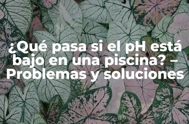 ¿qué Pasa Si el Ph Está bajo en una Piscina? – Problemas y Soluciones
