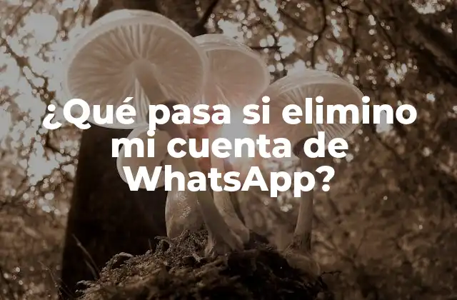 ¿qué Pasa Si Elimino Mi Cuenta de Whatsapp?