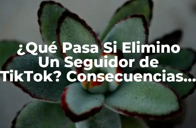 ¿qué Pasa Si Elimino un Seguidor de Tiktok? Consecuencias y Efectos en Tu Cuenta