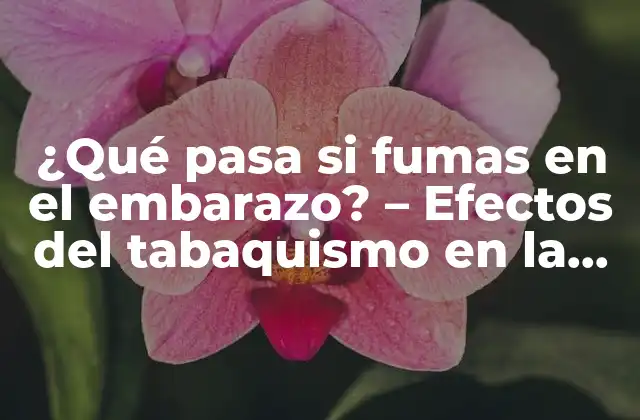 ¿qué Pasa Si Fumas en el Embarazo? – Efectos Del Tabaquismo en la Salud Fetal