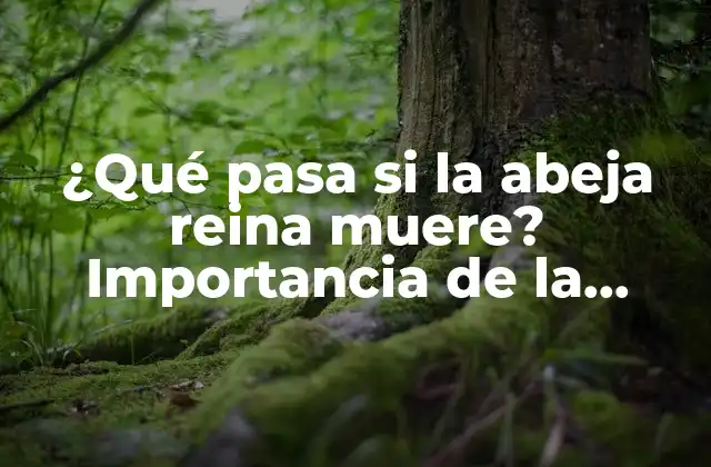 ¿qué Pasa Si la Abeja Reina Muere? Importancia de la Supervivencia de la Reina en la Colonia