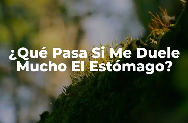 Causas del Dolor de Estómago