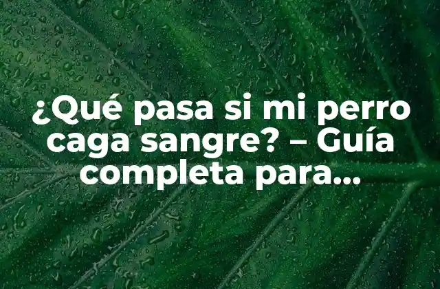 ¿qué Pasa Si Mi Perro Caga Sangre? – Guía Completa para Diagnosticar y Tratar Problemas Intestinales en Perros