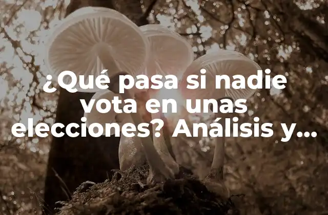 ¿qué Pasa Si Nadie Vota en unas Elecciones? Análisis y Consecuencias