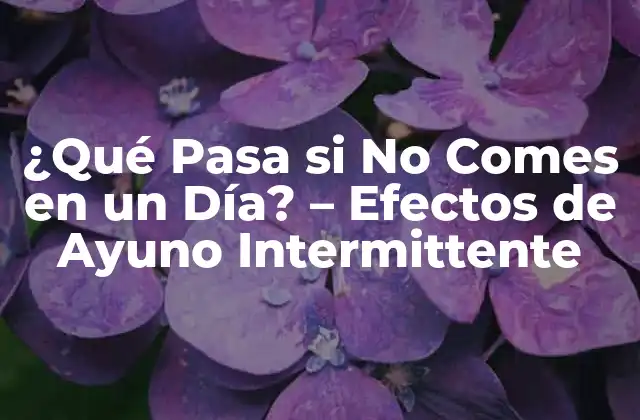 ¿qué Pasa Si No Comes en un Día? – Efectos de Ayuno Intermittente