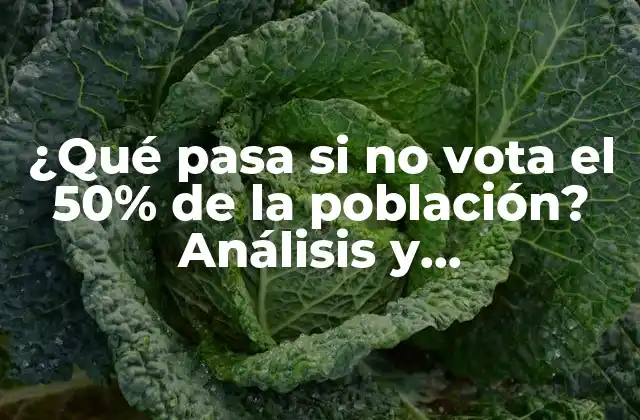 ¿qué Pasa Si No Vota el 50% de la Población? Análisis y Consecuencias de la Abstención Electoral