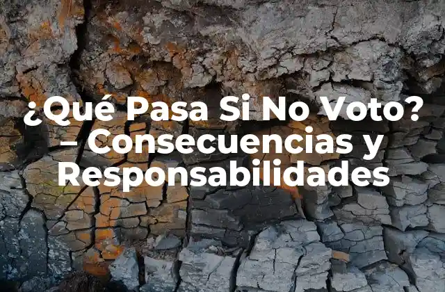 ¿Cuáles son las Consecuencias de no Votar?