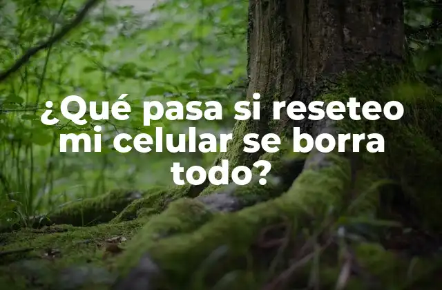 ¿qué Pasa Si Reseteo Mi Celular Se Borra Todo?