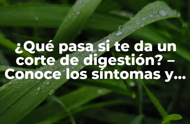 ¿qué Pasa Si Te Da un Corte de Digestión? - Conoce los Síntomas y Tratamientos 2 Síntomas de un corte de digestión