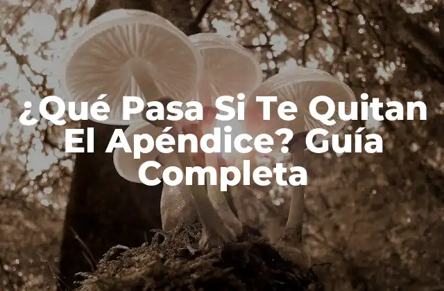 ¿qué Pasa Si Te Quitan el Apéndice? Guía Completa