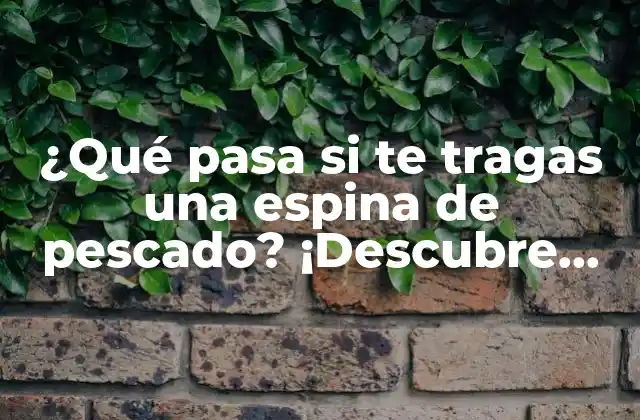¿qué Pasa Si Te Tragas una Espina de Pescado? ¡descubre los Riesgos y Consejos para Evitar Problemas!