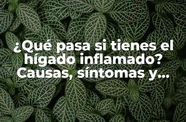 ¿qué Pasa Si Tienes el Hígado Inflamado? Causas, Síntomas y Tratamiento