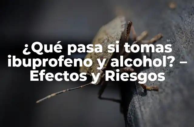 ¿qué Pasa Si Tomas Ibuprofeno y Alcohol? – Efectos y Riesgos